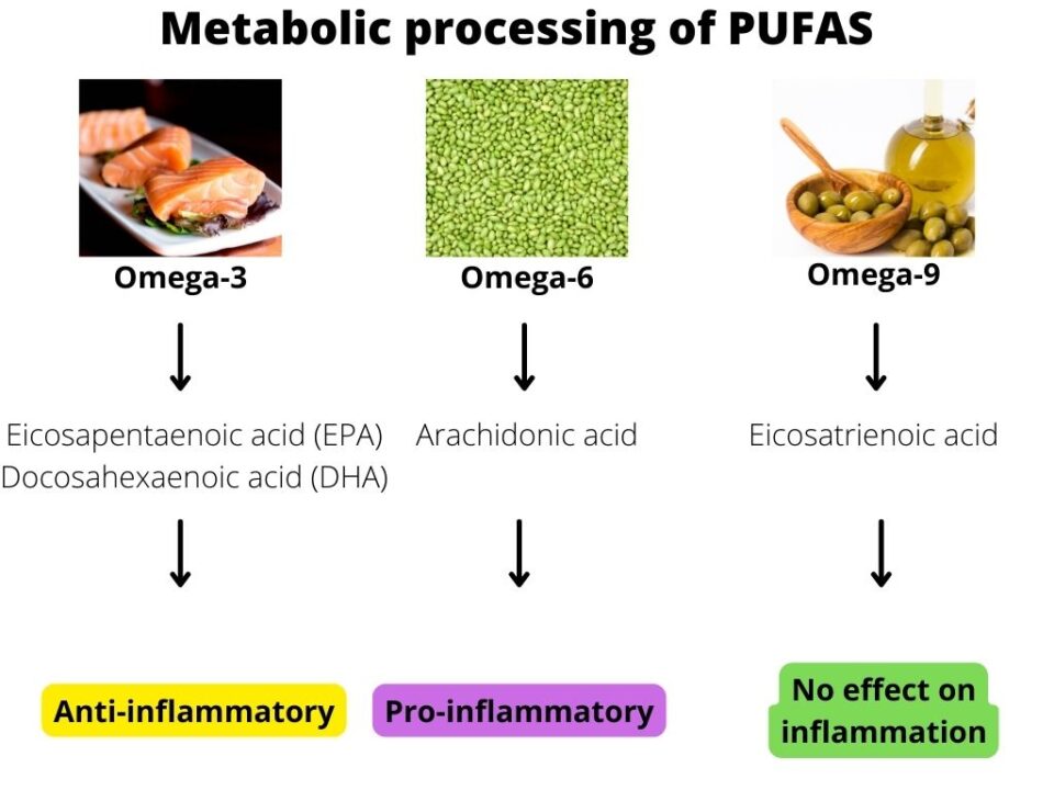 metabolic processing of pufas - How to Start Immune Modulation by Nutrition?