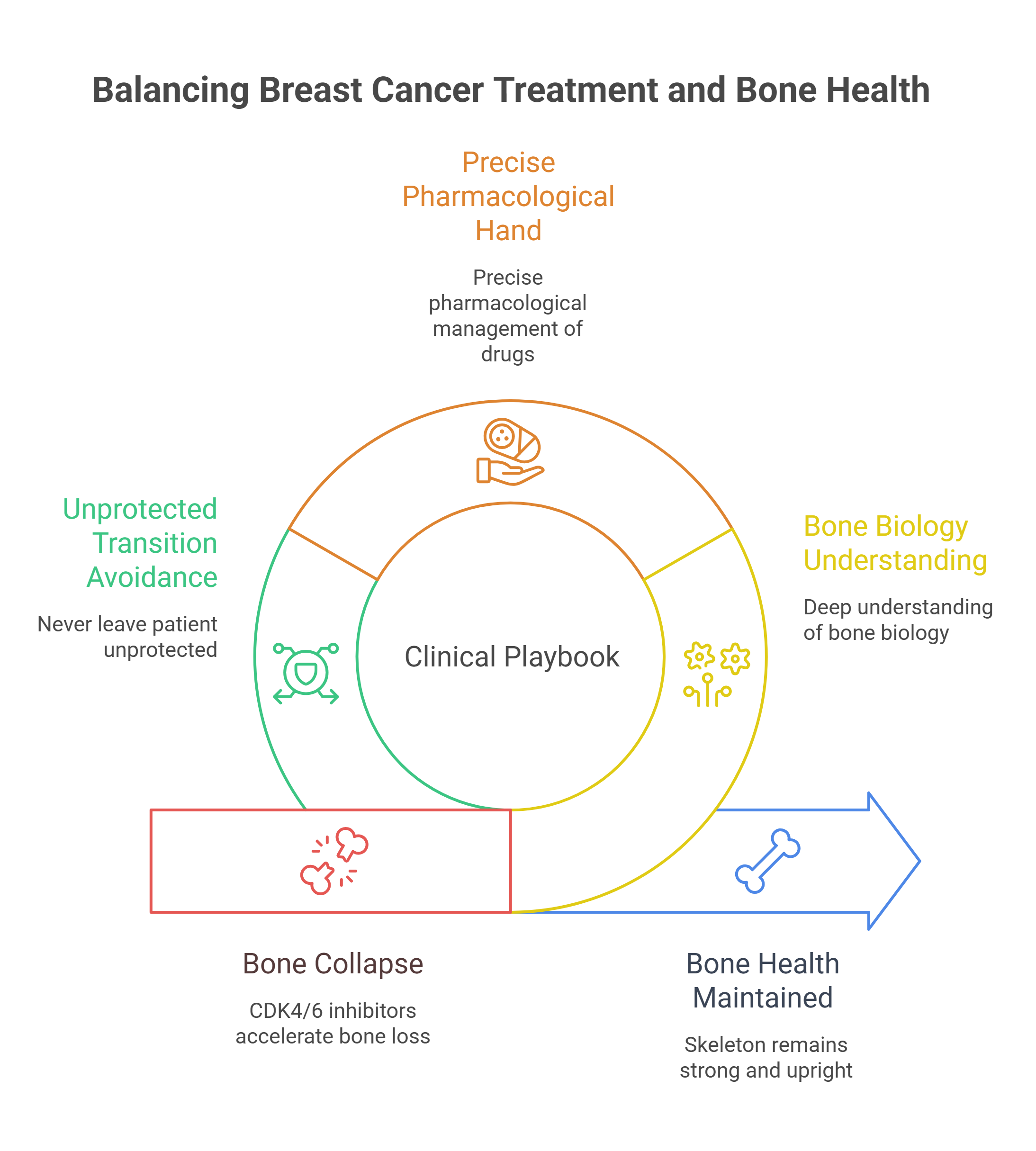 A circular infographic titled Balancing Breast Cancer Treatment and Bone Health shows clinical playbook at the center, with segments on precise drug management, bone biology, skeleton defense, bone collapse, and patient protection.