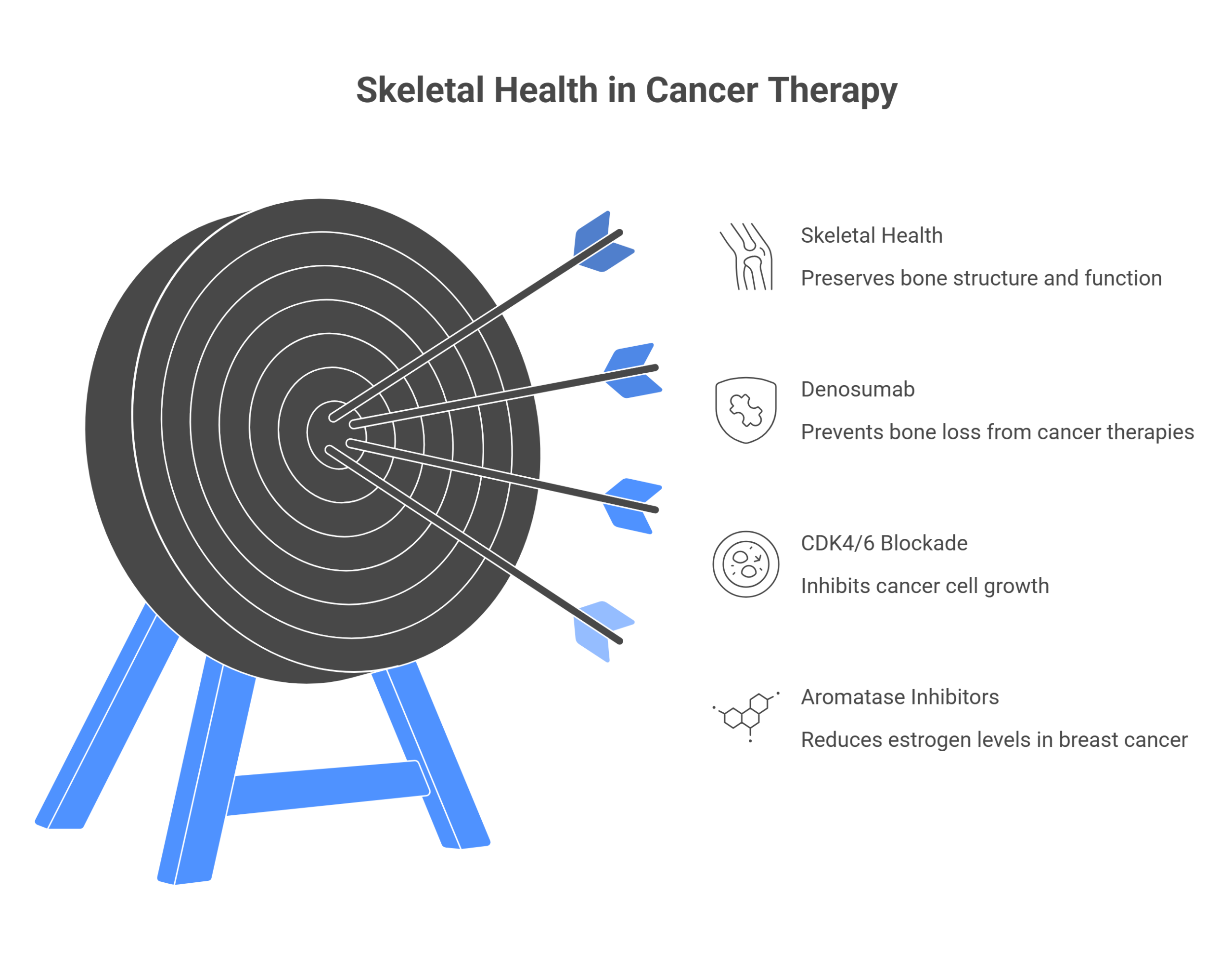 A target with four arrows represents strategies in cancer therapy to maintain bone health: preserving skeleton structure, preventing bone loss, inhibiting cancer growth, and reducing estrogen levels in breast cancer with CDK4/6 inhibition.