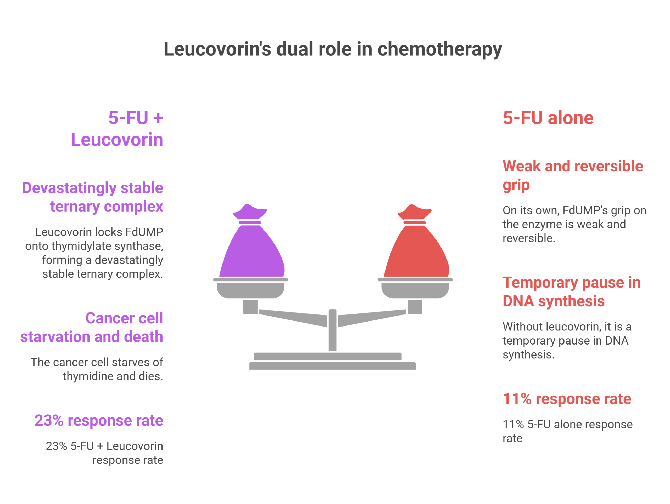 A comparison graphic showing the effects of 5-FU + Leucovorin (a vitamin) versus 5-FU alone in cancer chemotherapy, using a scale illustration. The left side shows higher response and cancer cell death; the right shows weaker, reversible effects.