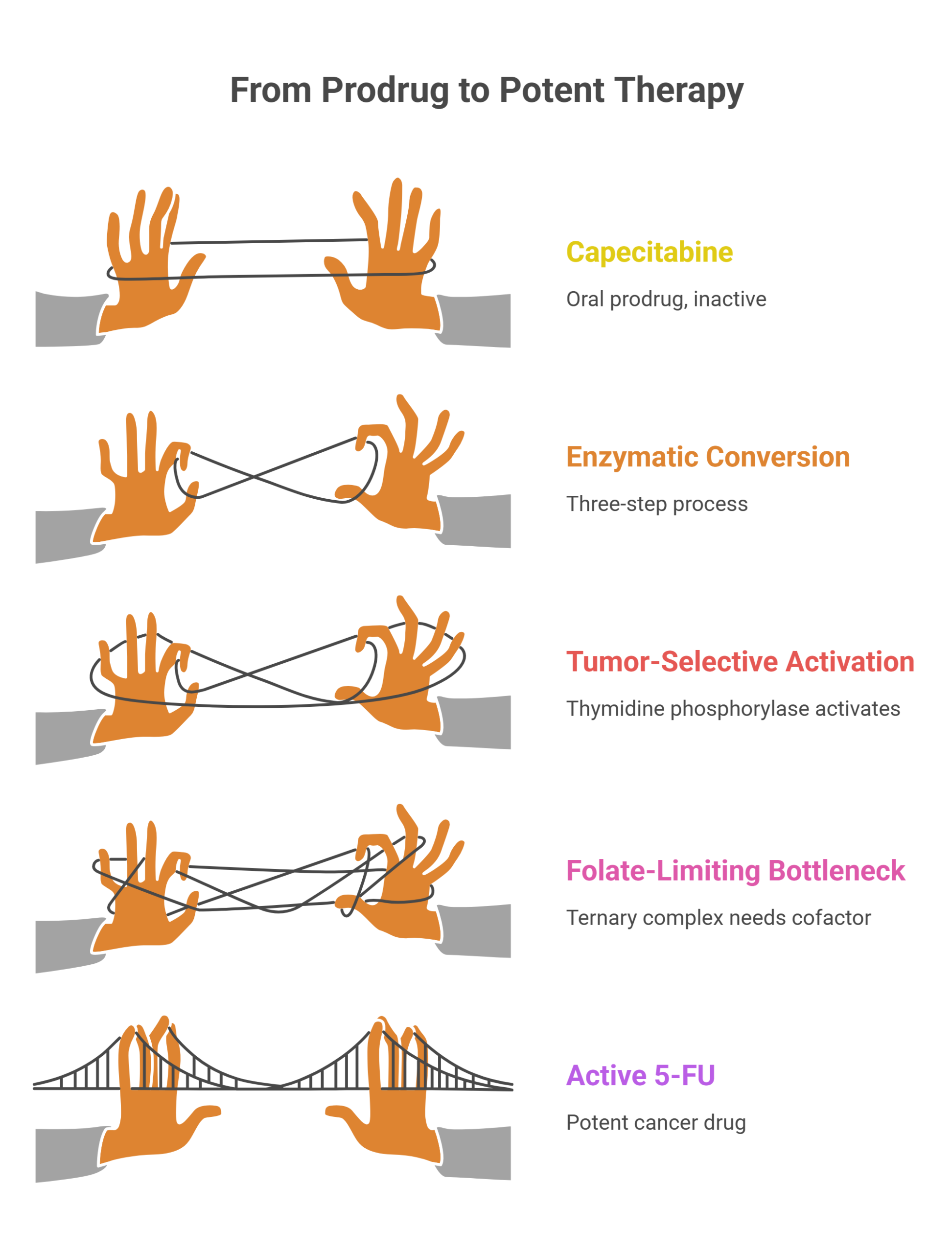A visual sequence uses hands with string to represent five stages: Capecitabine (inactive), Enzymatic Conversion, Tumor-Selective Activation, Folate-Limiting Bottleneck, ending with a bridge to active 5-FU—the cancer chemotherapy drug.