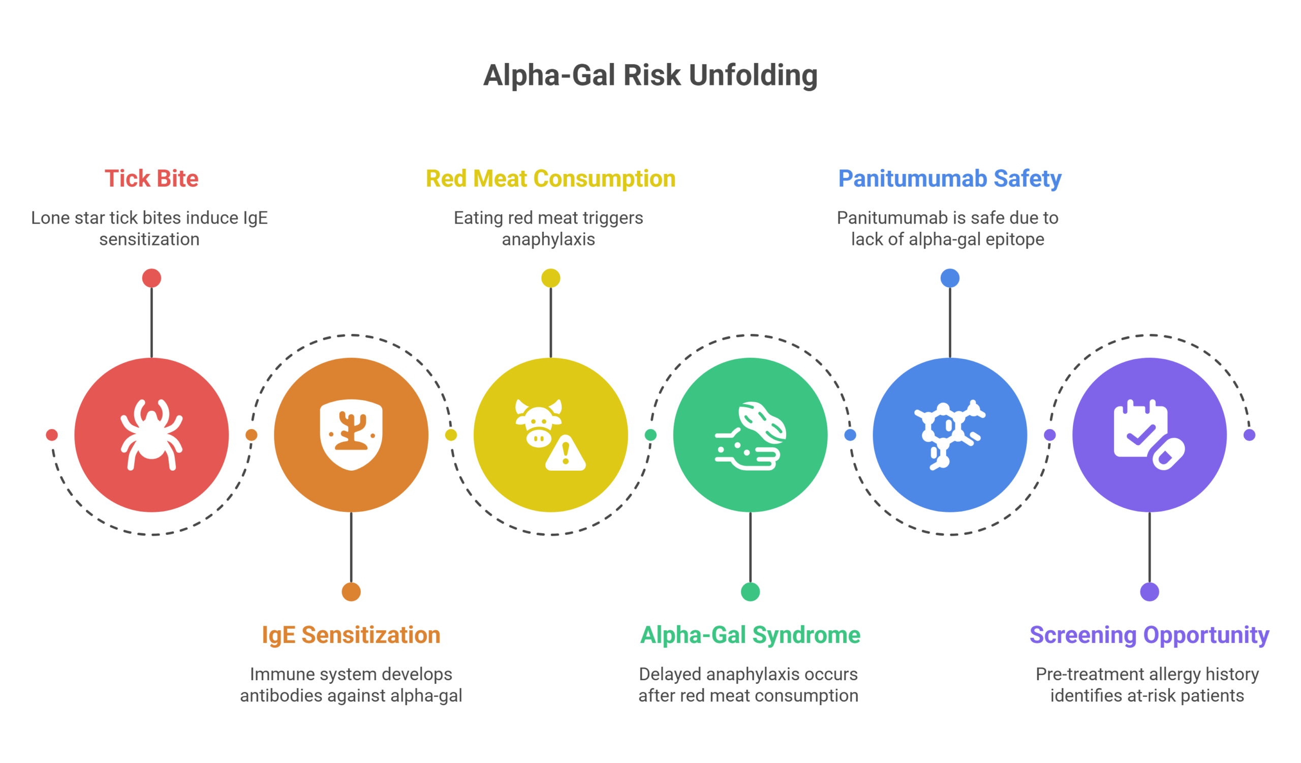 A horizontal infographic titled Alpha-Gal Risk Unfolding shows five steps: tick bite, IgE sensitization, red meat consumption, alpha-gal syndrome, panitumumab safety, and screening opportunity, each with an icon and brief description.