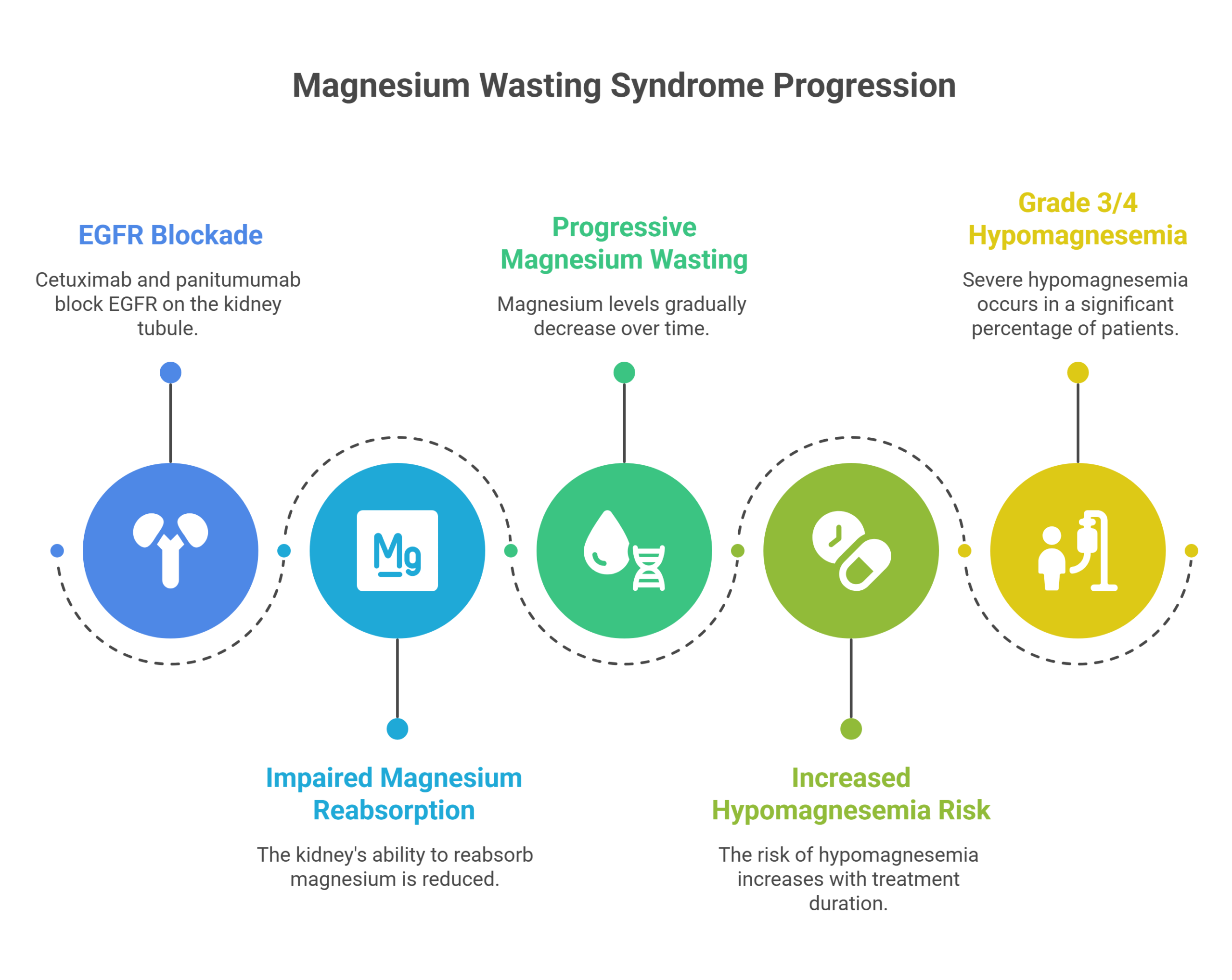 A diagram titled Magnesium Wasting Syndrome Progression shows four stages: EGFR blockade, impaired magnesium reabsorption, progressive magnesium wasting, and increased risk of grade 3/4 hypomagnesemia, each with icons and descriptions.