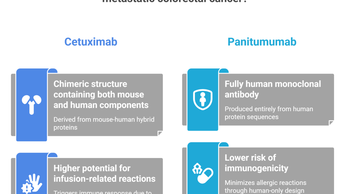 Infographic comparing Cetuximab and Panitumumab for metastatic colorectal cancer. Highlights Cetuximabs chimeric structure and higher immuno-reaction risk; Panitumumab is fully human with lower immunogenicity risk.